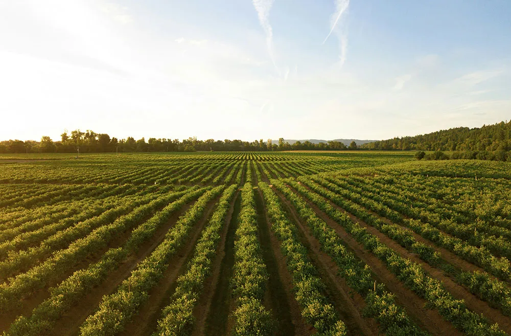 There are many variations of passages of Lorem Ipsum available, but majority have suffered teration in some form, by injected humour, or randomised words which don't look even slight believable. If you are going to use a passage of Lorem Ipsum.